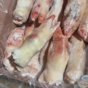 猪蹄