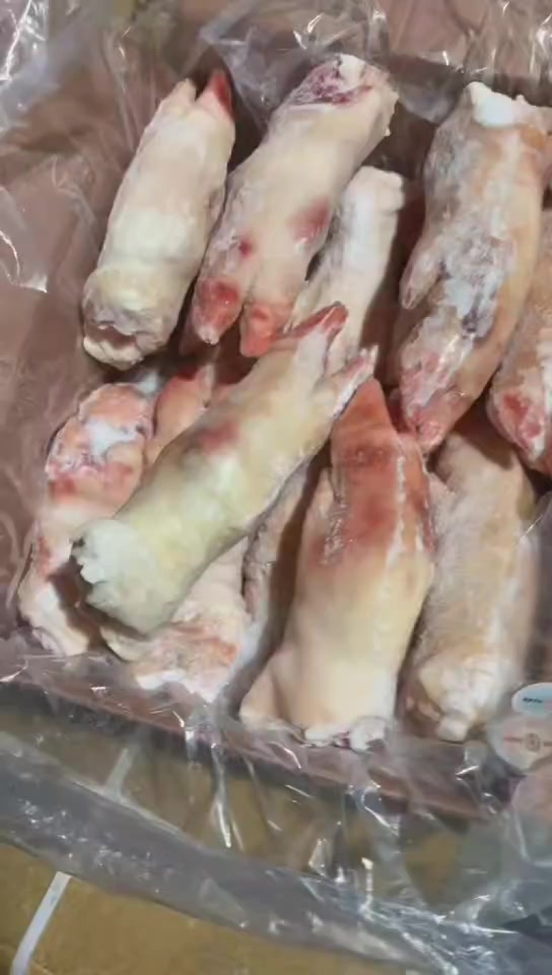 猪蹄