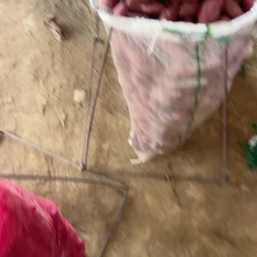 紫罗兰，支持任何规格，任何包装！