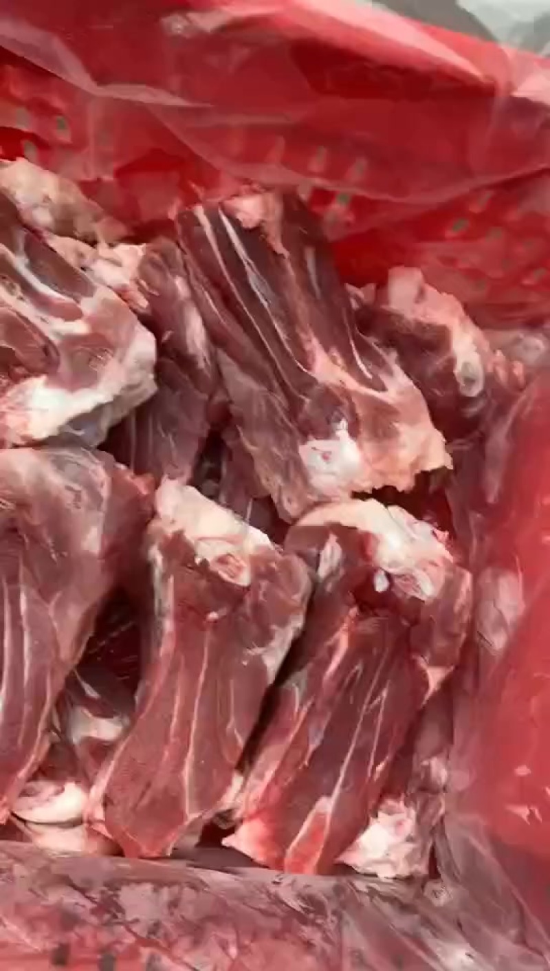 国产后肘骨