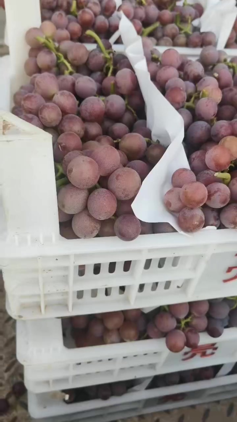 葡萄，梨，桃子