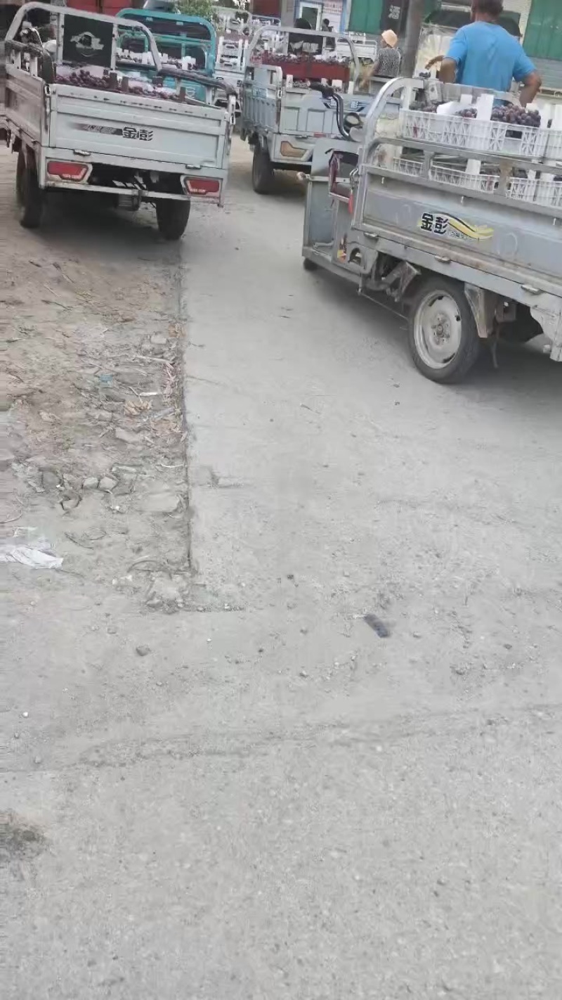 葡萄，梨，桃子