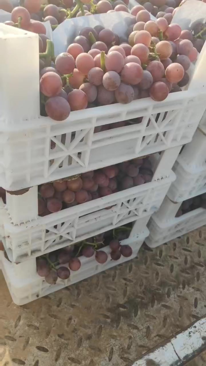 葡萄，梨，桃子