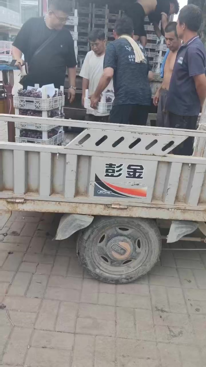 葡萄，梨，桃子
