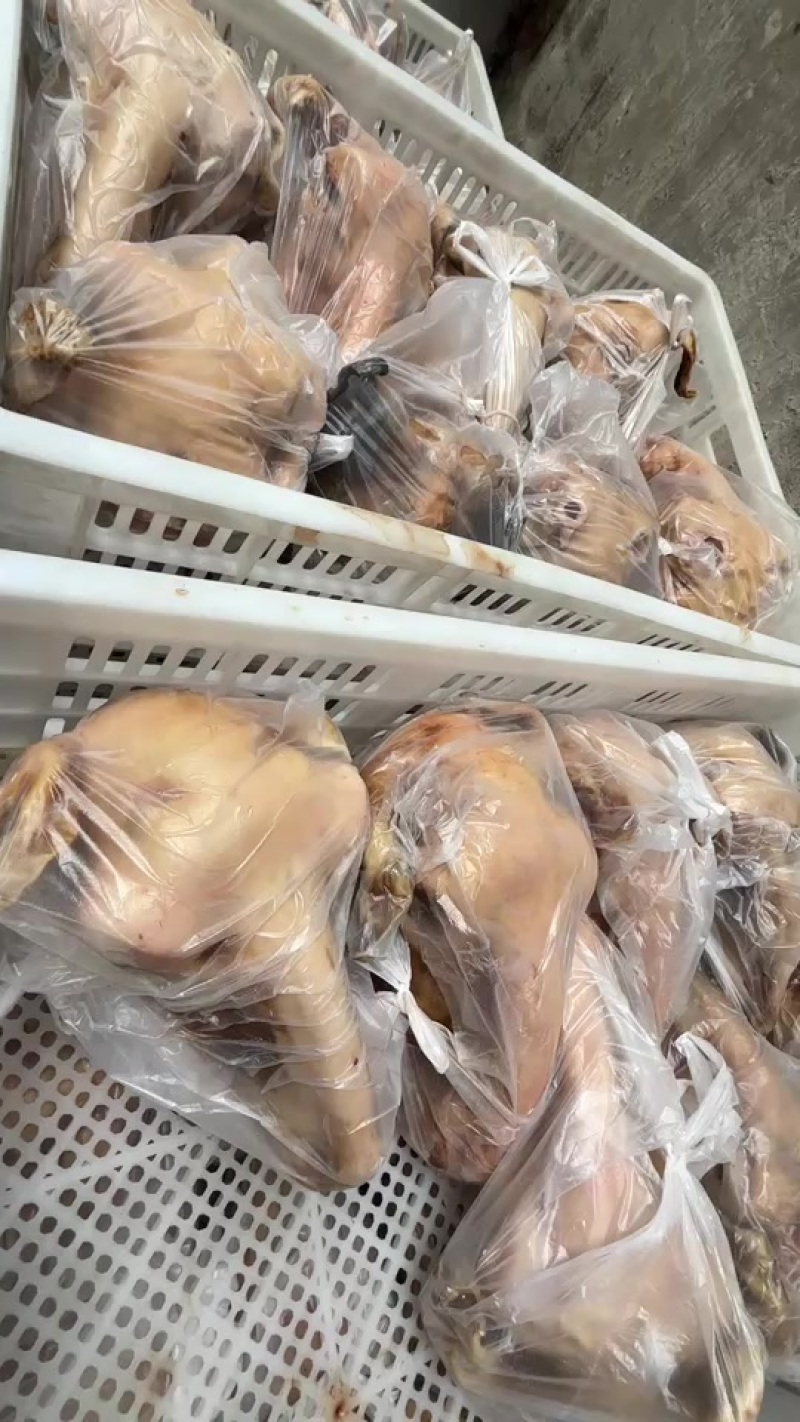 火烧带皮羊头，扒皮羊头，各种规格齐全