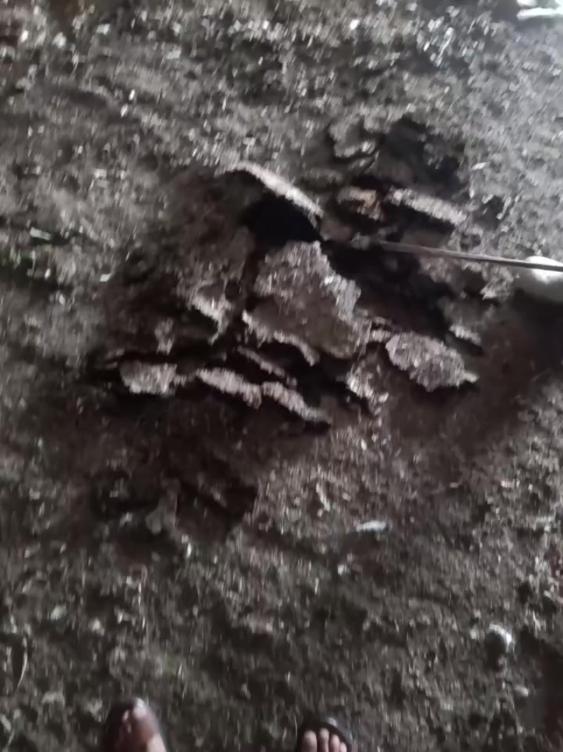 有点谷壳不多，鸡粪