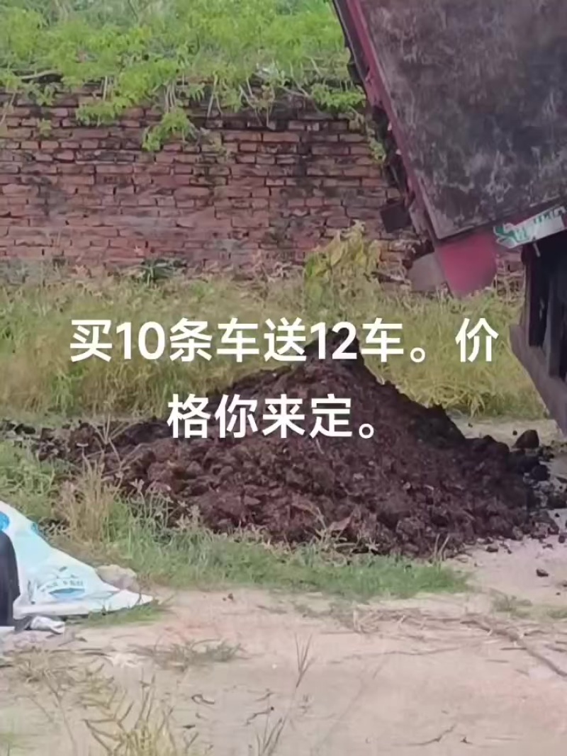 有点谷壳不多，鸡粪