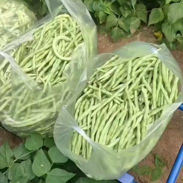 豆角