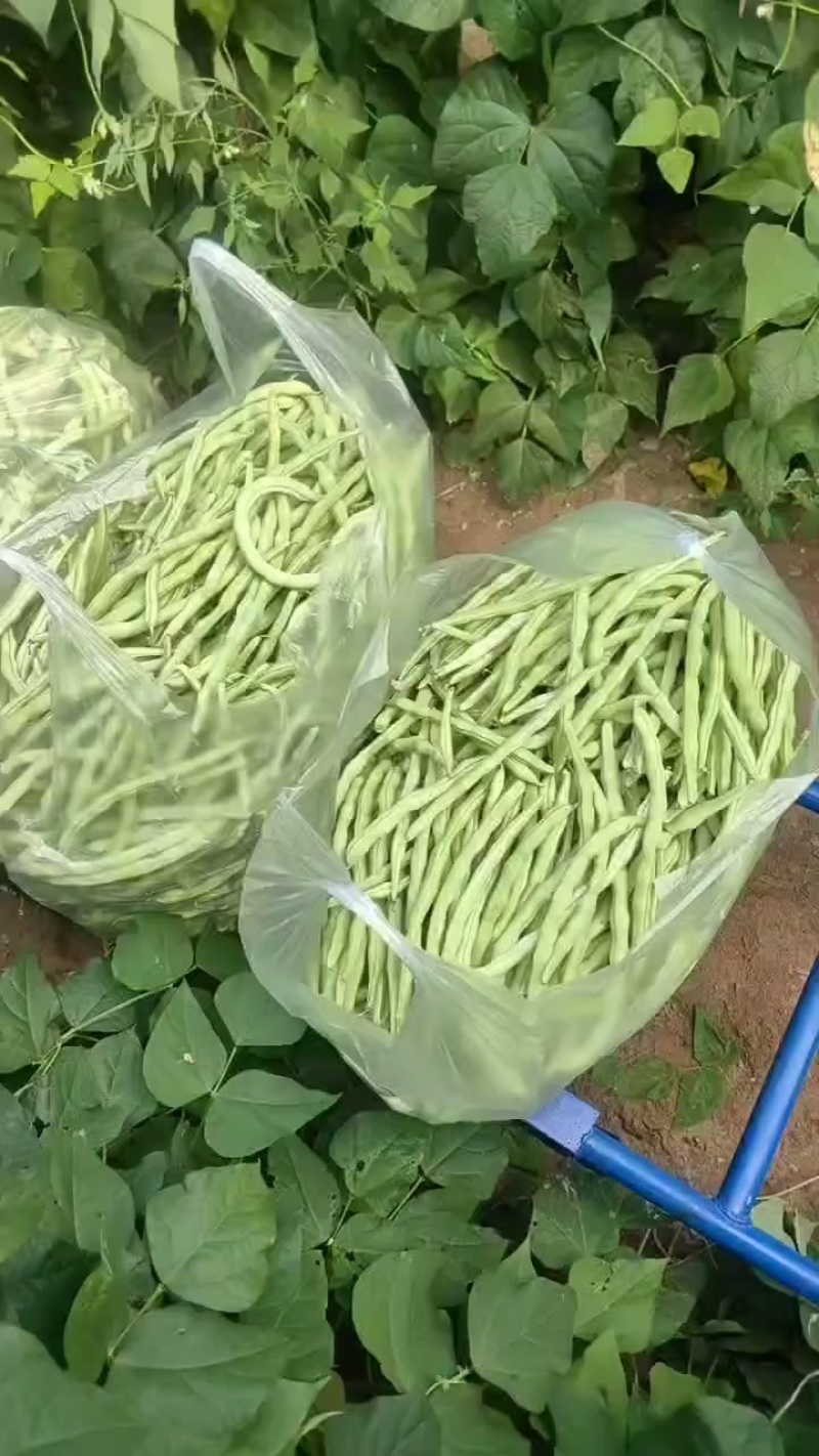 豆角