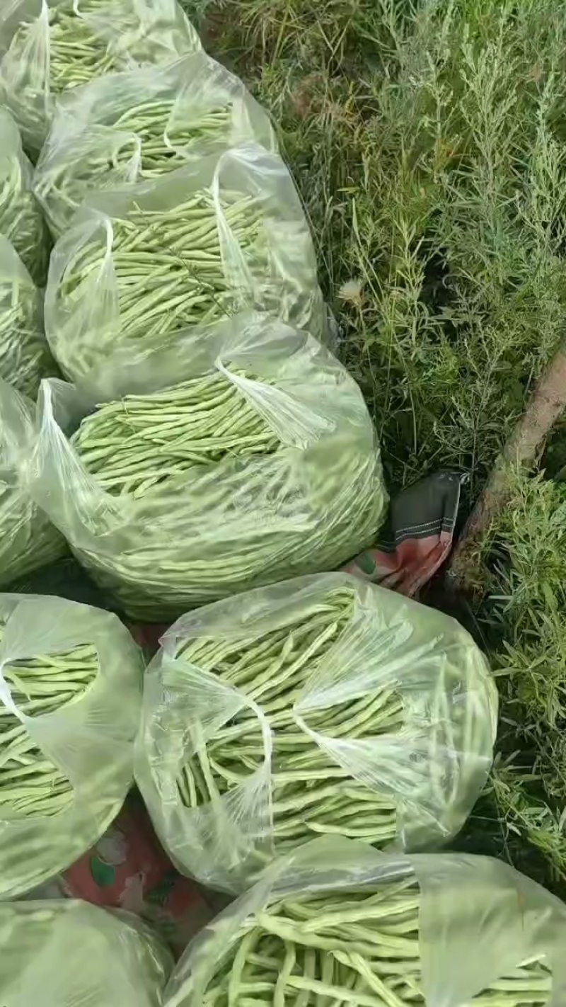 豆角