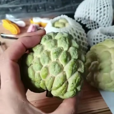 东莞番鬼荔枝