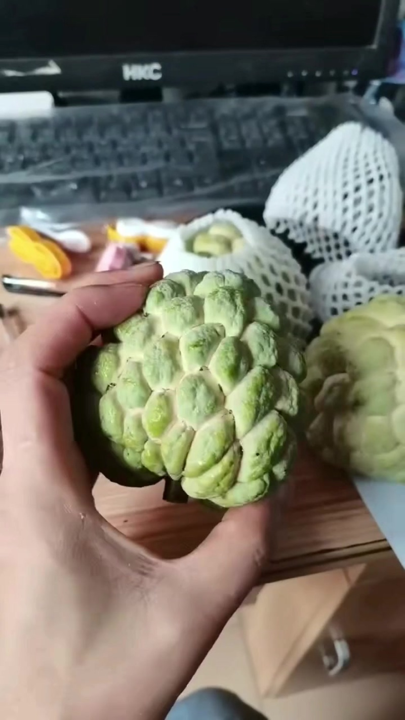 东莞番鬼荔枝
