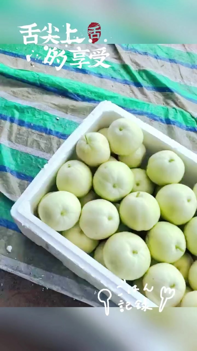 盐城甜瓜
