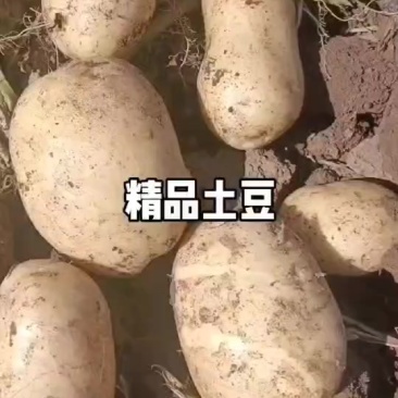 刘平一号三两通货发往全国