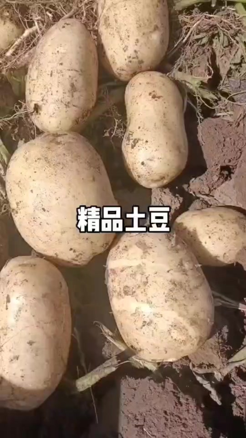 刘平一号三两通货发往全国