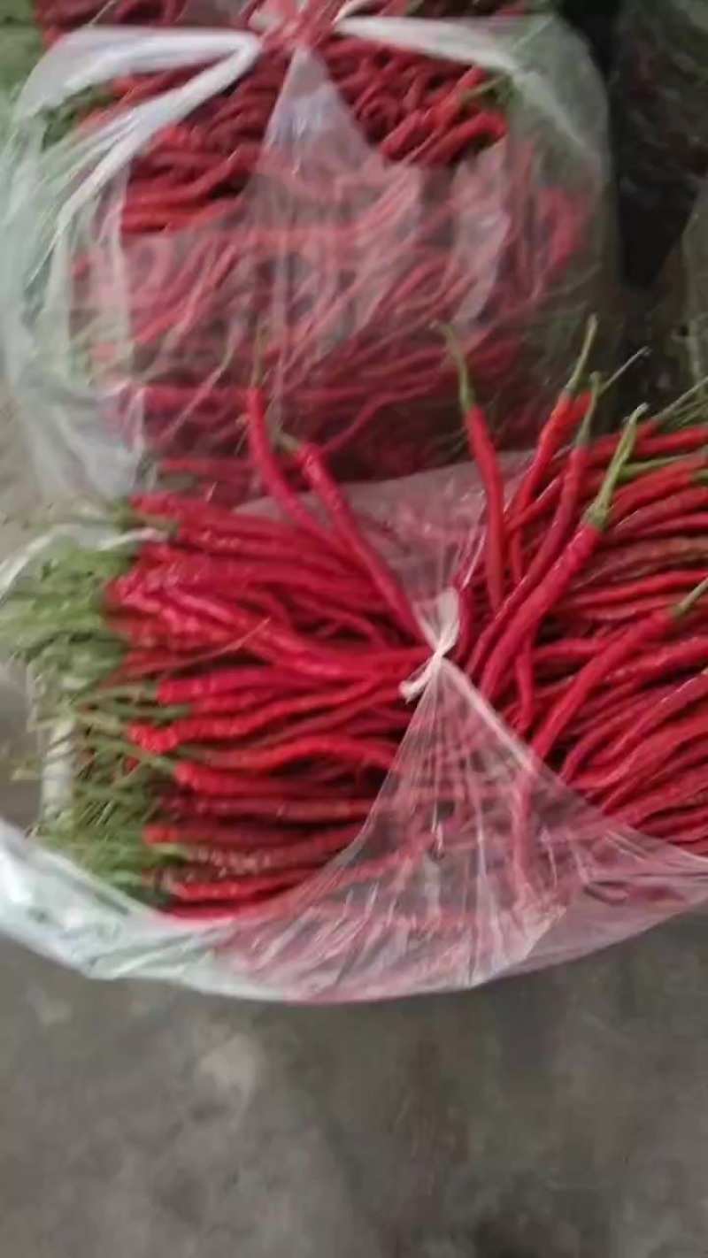 贵州鸡爪辣椒，欢迎各位老板合作，可发外省