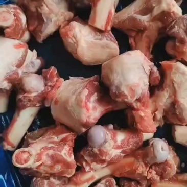多肉羊棒骨实拍