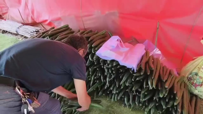 精品长瓜，电商平台