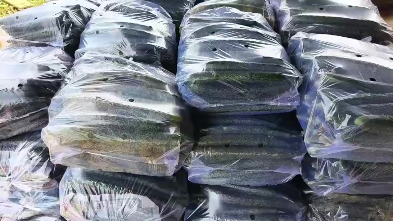 精品长瓜，电商平台