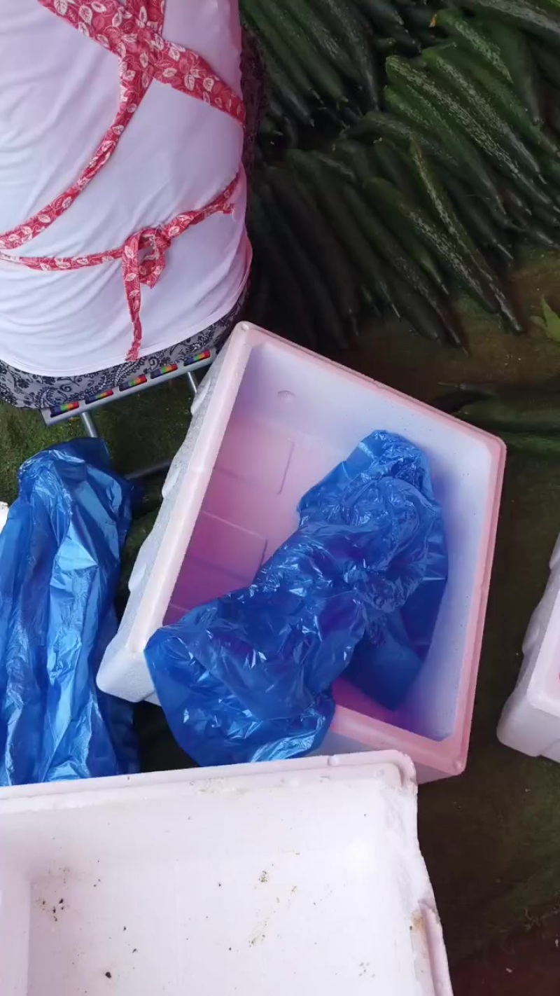 精品长瓜，电商平台