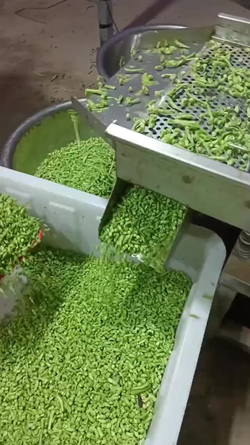腌制精品切断酸豆角