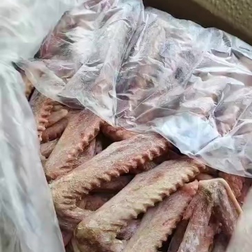 这个品质二级鹅翅还有10吨
