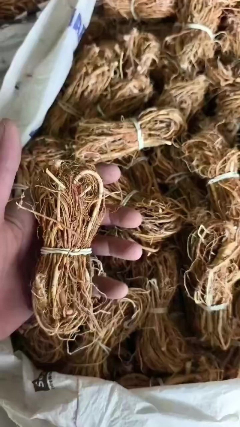 无包心小扎