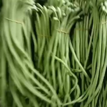各种豆角大量上市