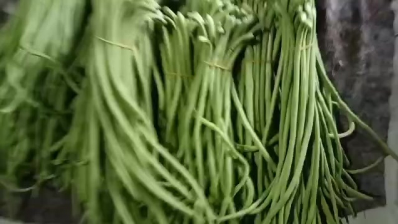 各种豆角大量上市