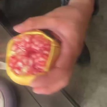 软籽石榴