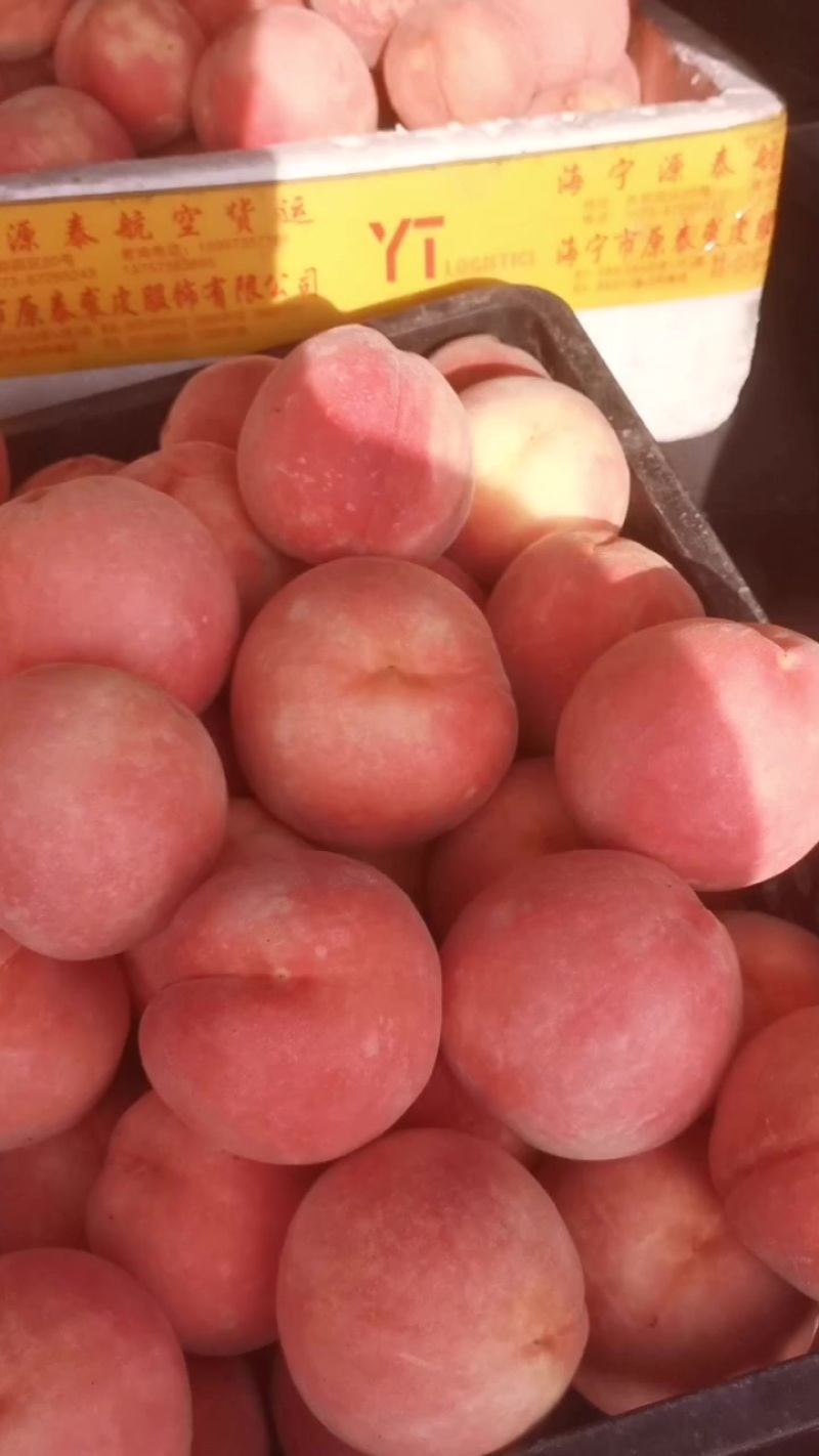 桃子！品种是秋彤！套袋的！