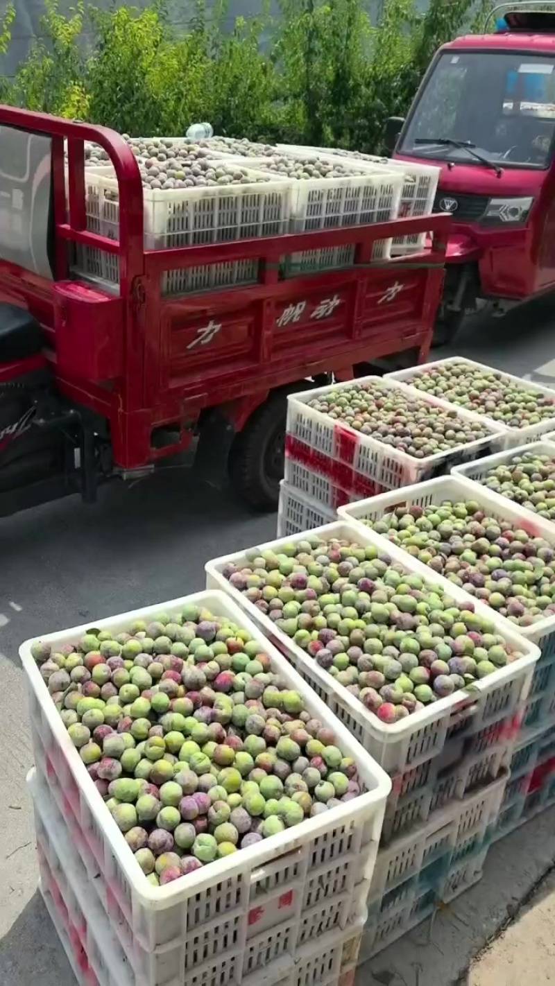 卖小脆红