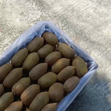 禄心猕猴桃