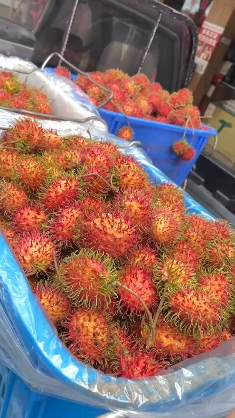 好吃的毛毛丹