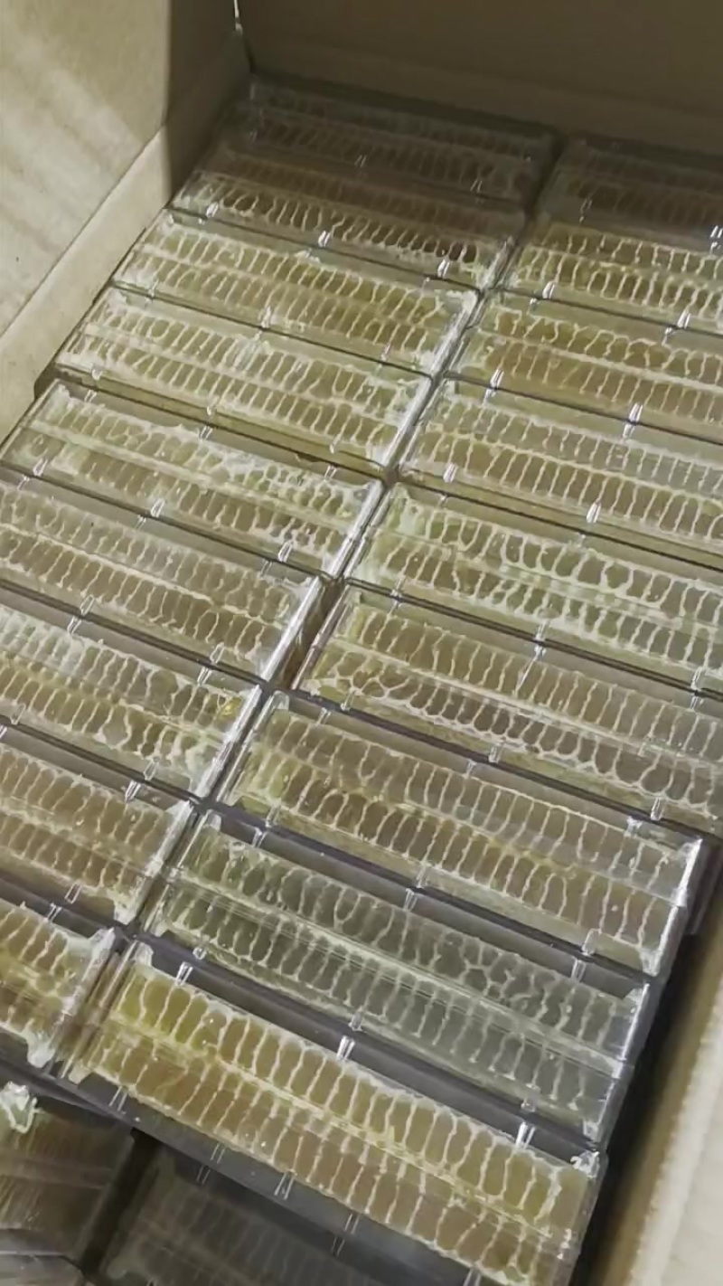 白荆花成熟蜜，原蜜未加工