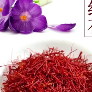 西红花（藏红花）批发