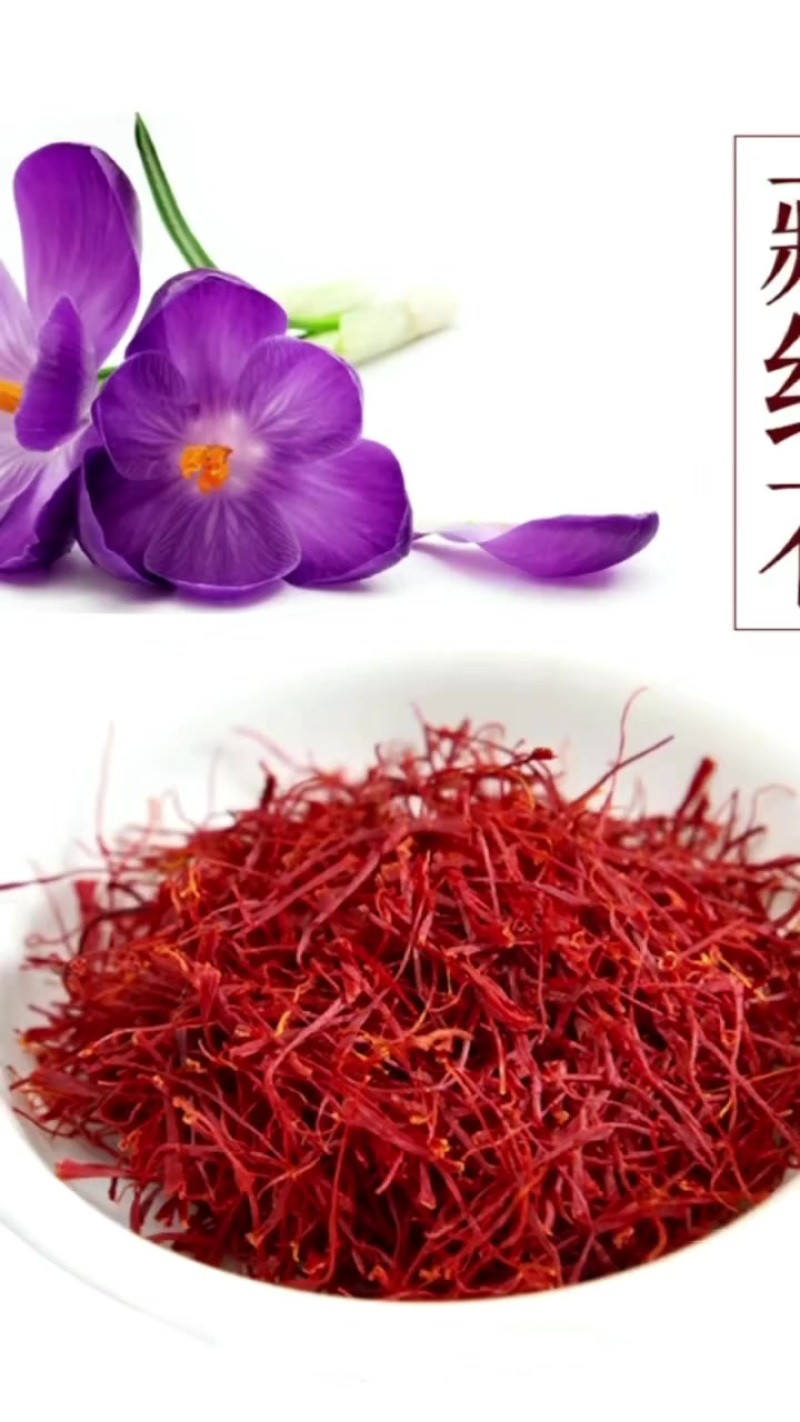 西红花（藏红花）批发