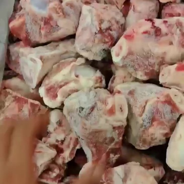 猪前腿骨