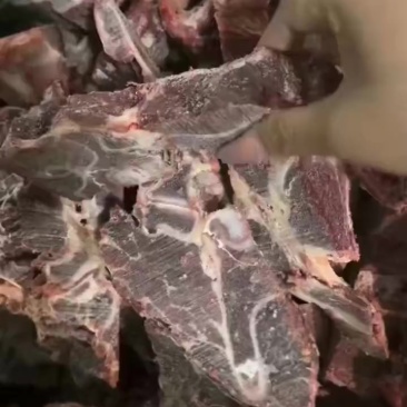 牛脖骨