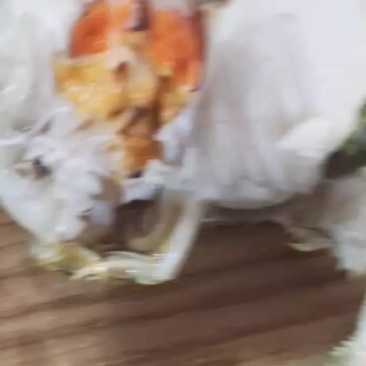 江苏北安丰精品六月黄