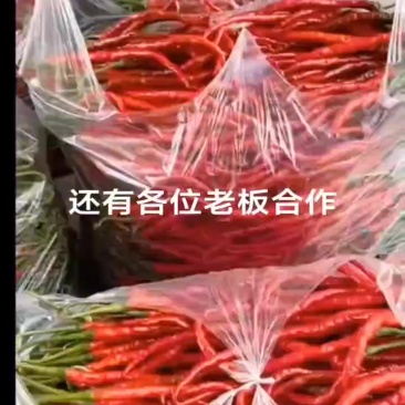 欢迎各位老板合作啊，货大量有。