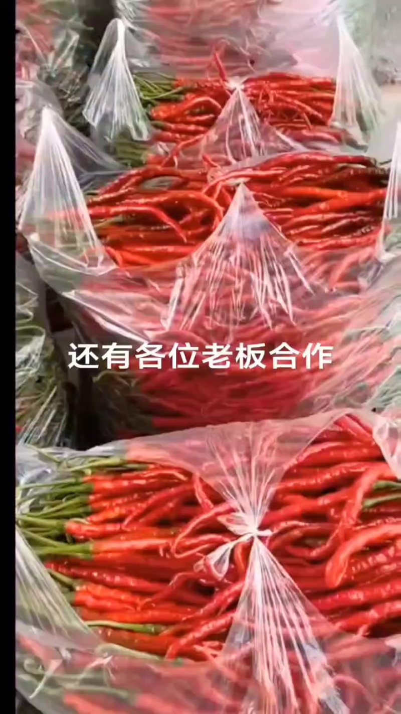 欢迎各位老板合作啊，货大量有。