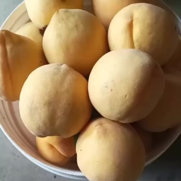 黄桃
