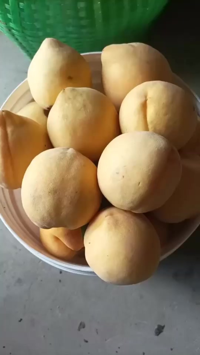黄桃