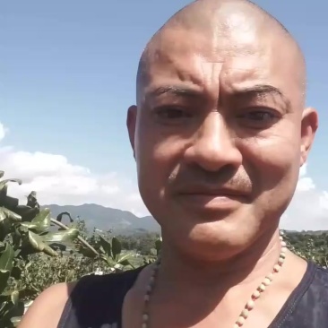 四川会理大凉山突尼斯软籽石榴
