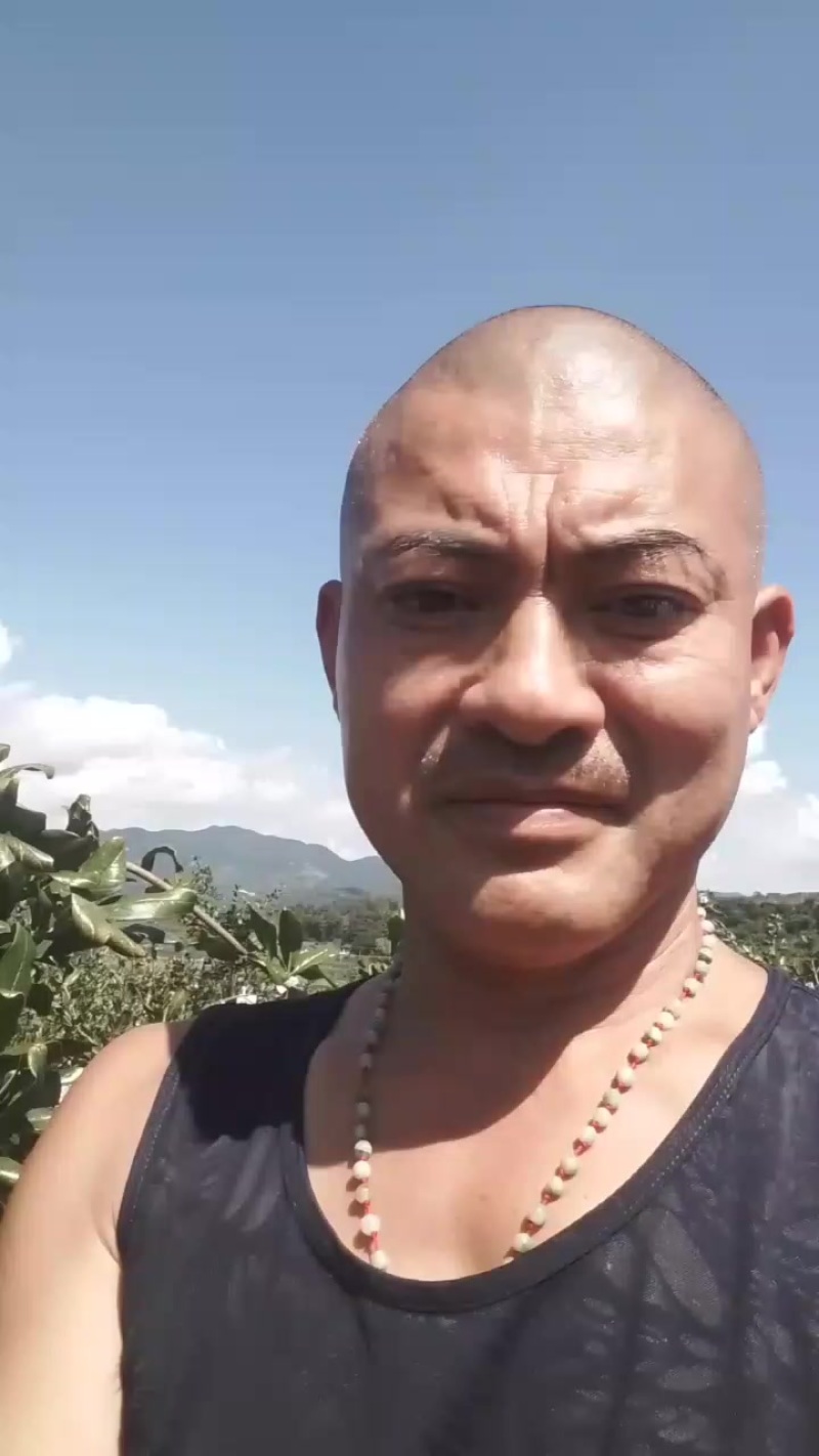 四川会理大凉山突尼斯软籽石榴