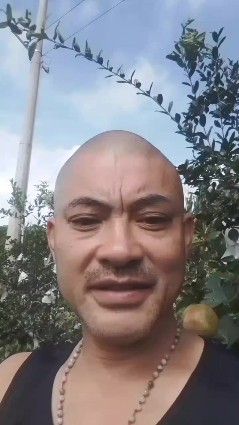 四川会理大凉山突尼斯软籽石榴