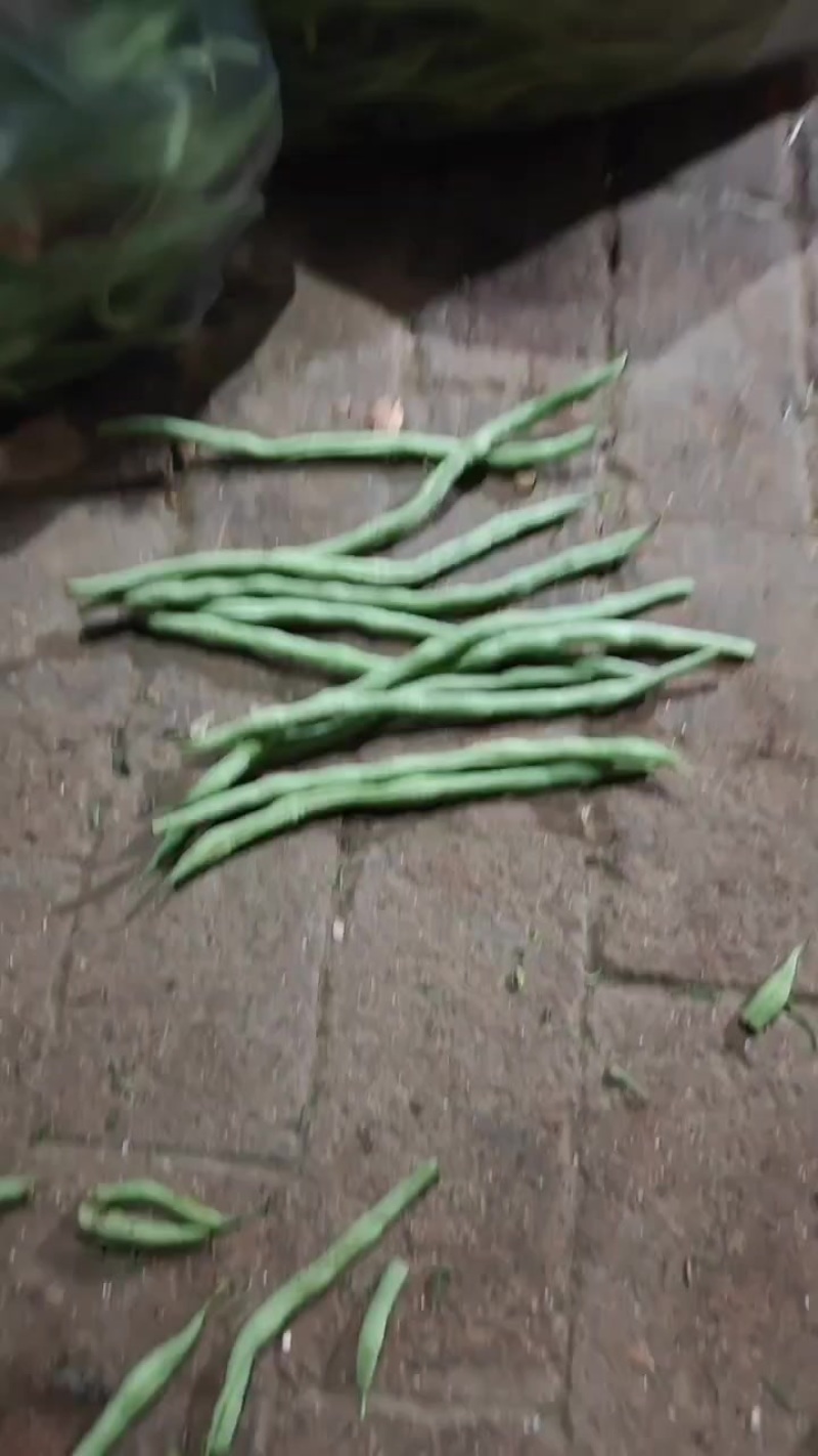 山西大同本地一手货源精品豆王