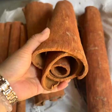 刮皮大通