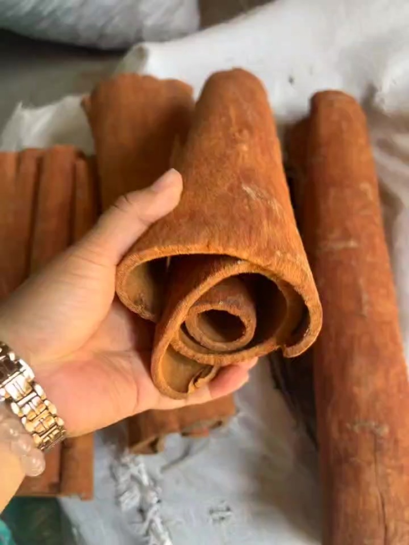 刮皮大通
